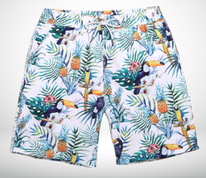 Art Fashionable Pelican Mens Pineapple Print ShortsPicture